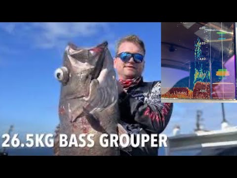 Big Bass Grouper - Perth WA - Deep Drop - Short