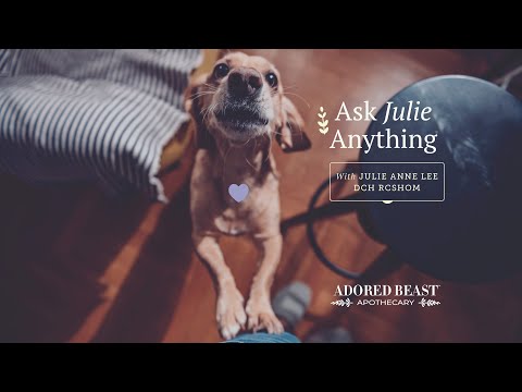 Ask Julie Anything - June Q & A Session 2024