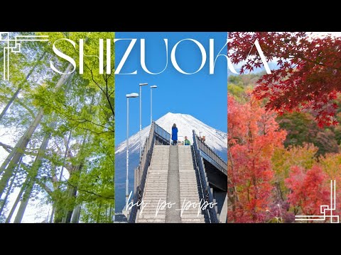 [Shizuoka Trip] Enjoy Mt. Fuji view spots and Shizuoka gourmet food | Izu Shuzenji tourism