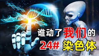 人类缺失的2条染色体，隐藏人类起源真相，会推翻《进化论》吗？【小红虾实验室】