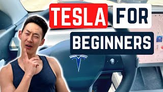 How to Drive a Tesla for the First Time