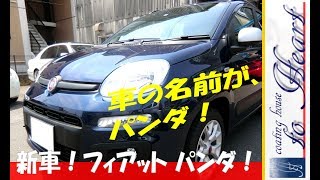 新車フィアット パンダ！ガラスコーティング！