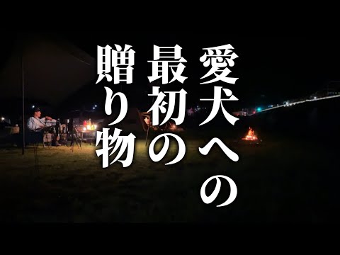 【GWの笠置】愛犬への最初の贈り物は愛が詰まったプレゼント