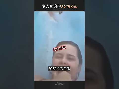 ウォータースライダーで主人を追いかけていくワンちゃん