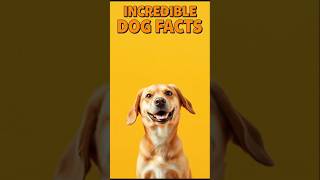 "Incredible Dog Facts You Didn't Know! 🐕✨"