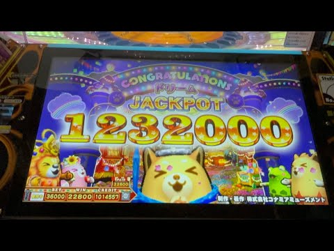 [アニマロッタ] ドリームJACKPOT 1232000WIN