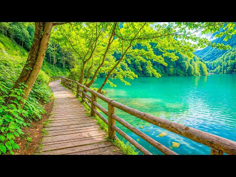 All Your Worries Will Disappear If You Listen To This Music🌿 Relaxing Music Calms The Nerves #32