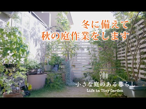 ガーデニング Vlog｜冬に備えて秋の庭作業をします！！｜ 〜小さな庭のある暮らし 170〜Gardening ｜ Life in a tiny garden