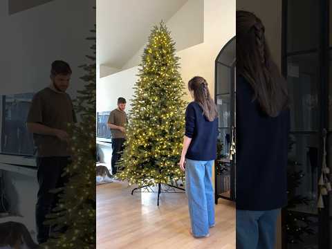 my 9ft christmas tree 🥹🎄✨ easy assembly, whimsical, and realistic #christmastree