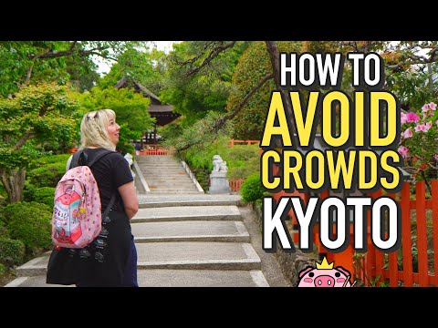 Too Busy in Kyoto? ★ Travel Guide ★ King Kogi