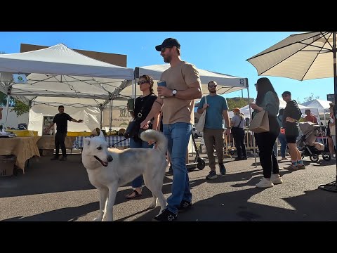 A Weekend in Downtown Phoenix - ebike Ride - Phoenix Arizona