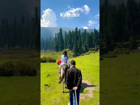 istara se dekho tum #kashmir #jannat #travel #doodhpathri #hillsong #hindisong #music #love