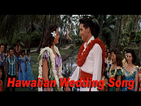 Hawaiian Wedding Song - Elvis Presley(영화 Blue Hawaii 중에서)[가사번역]