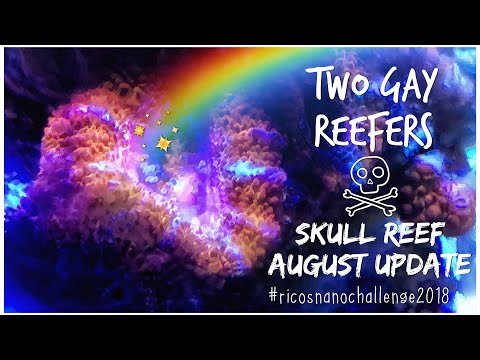 Rico’s Nano Challenge 2018 - Skull Reef August Update - Rico’s Aquariums