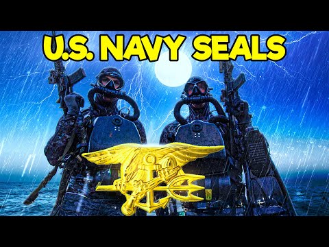 How DEADLY are the U.S. Navy SEALs?