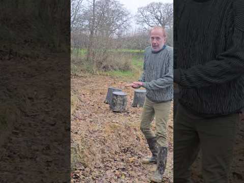 Sheltered Woodland Channel Project #permaculture #landscaping #woodland #adventure #outdoors #mud