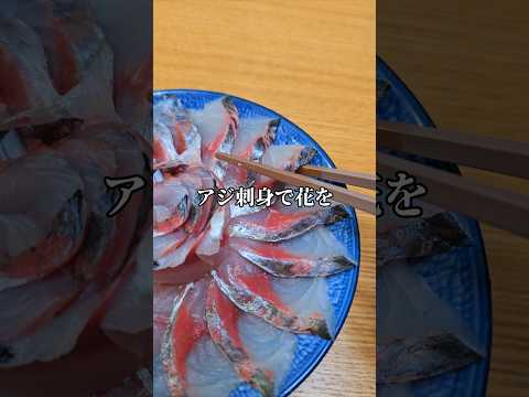 尺アジ半身を使った刺身を盛り付けたら美味すぎた #アジ #料理 #魚の捌き方