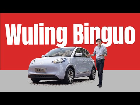 BYD Seagull's Head-on $12k EV Rival - Wuling Binguo Review