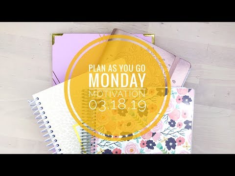 Plan As You Go | Muji Gel Pen | 3.18.19