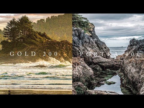 Kodak Gold 200 vs Portra 400 | The Best Films For EVERYTHING