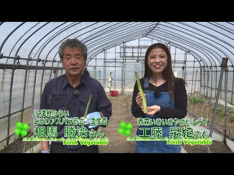 2023年5月5日放送「Fresh Vegetable」旬の青森県産アスパラガスを紹介～JA津軽みらいより～