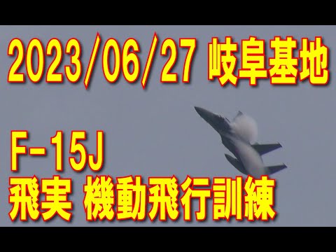 【岐阜基地】キレキレの機動飛行訓練 2023/06/27