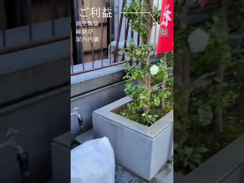 【日本歴史散歩】銀座のど真ん中。ビルの屋上にある神社がすごい。#short #shorts #shortvideo #散歩 #銀座 #初詣