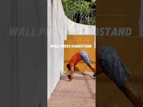 Wall Press Handstands. #shorts #ytshortsindia #ytshort #handstandhold #viralvideo