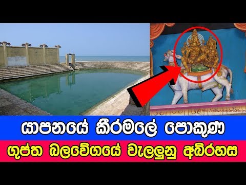 ගුප්ත බලවේග බැදුණු යාපනයේ කීරමලේ පොකුණ | The mystery of the Keeramale pond