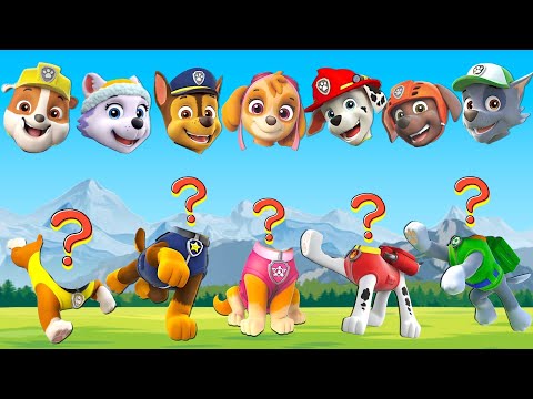 パウパトロールのおかおはどれだ？ Wrong Heads Puzzles Paw Patrol  -Wrong Heads Puzzles Patrulla Canina