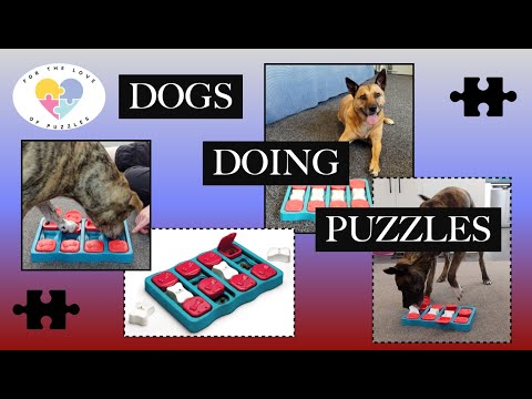 Pups & Puzzles: The Dog Brick From Nina Ottoson