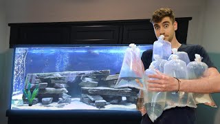 BUYING NEW FISH for AQUARIUM!!