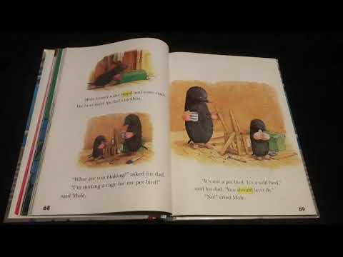 Mole and the Baby Bird - Reading Street Grade 1.5 - The Stepping Stone Kids