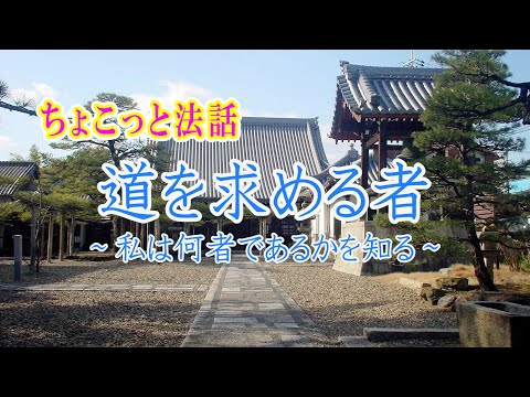 ちょこっと法話「道を求める者」