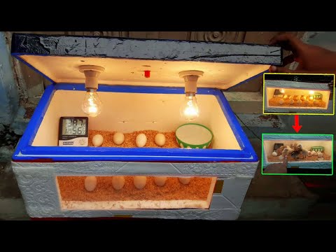 BEST Egg Incubator for Hatching Chicken Eggs - (Perfect For Small Homestead)