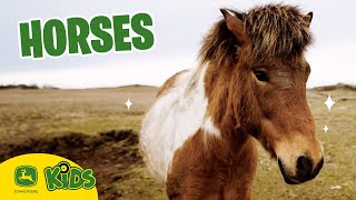 We Love Horses On The Farm! 🐎 | John Deere Kids