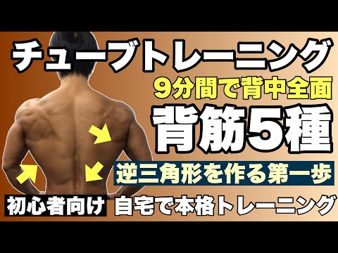 【背中】逆三角形を作る第一歩！背中全面を狙った5種目9分間のチューブトレーニング