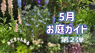 【5月の庭ガイド第2弾】ローメンテナンスでもお花いっぱいの庭に