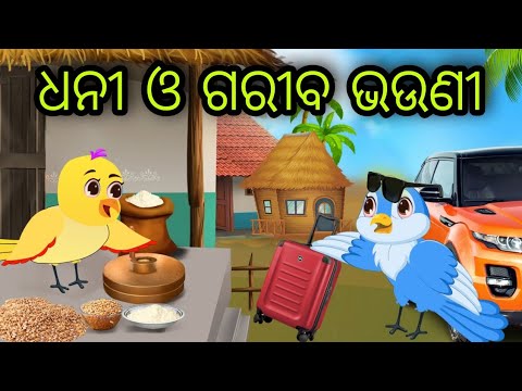 ଧନୀ ଓ ଗରୀବ ଭଉଣୀ | Dhani O Gariba Bhauni | Tiki Chadhei | Odia Gapa | Chadhei Gapa