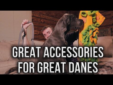 Great Danes - Great Accessories