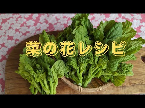 [作り置き♪]菜の花レシピ🌸冷蔵庫のアレ!を入れると苦みを減らせます。/ Japanese rapeseed recipe🌸