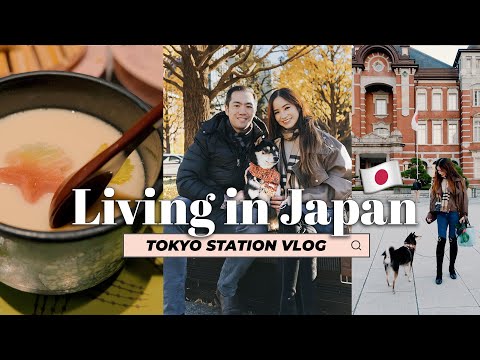 LIVING IN JAPAN VLOG - Family Day at Tokyo Station & MUST TRY SUSHI