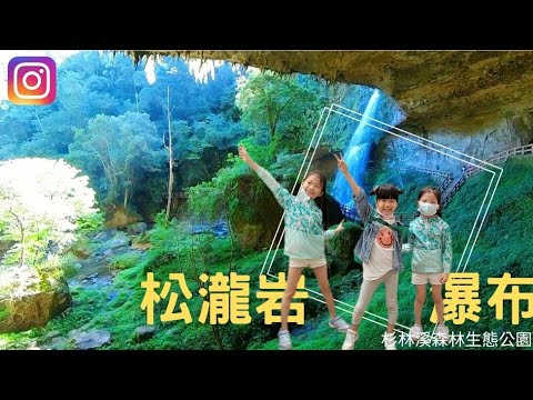 【南投杉林溪 -上篇】三寶暢遊杉林溪森林生態園