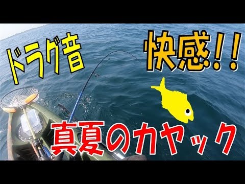 カヤックフィッシングで初青物！