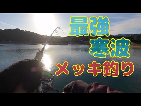 最強寒波にメッキ釣りしたら爆釣した！