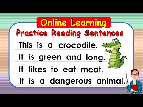 Practice Reading Sentences ll Instructional/Independent READERS ll Grade 1 and Grade 2