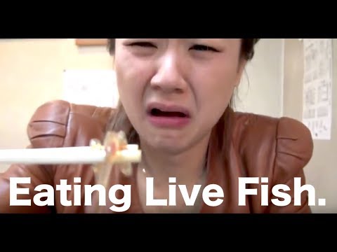 Eating Live Fish Sashimi シラウオの踊り喰いを初めて食べる中国人の反応[モンちゃん]