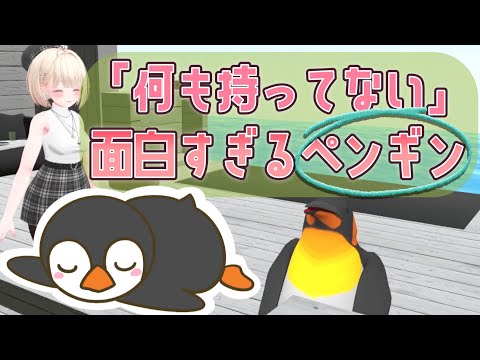 「何も持ってない」面白すぎるペンギンにインタビューしました🎤