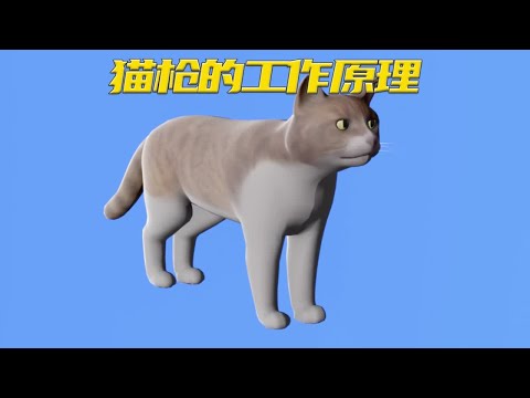 发明猫枪的人真是个人才