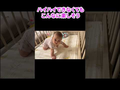 充実？のハイハイ練習😂 #shorts  #赤ちゃん  #baby